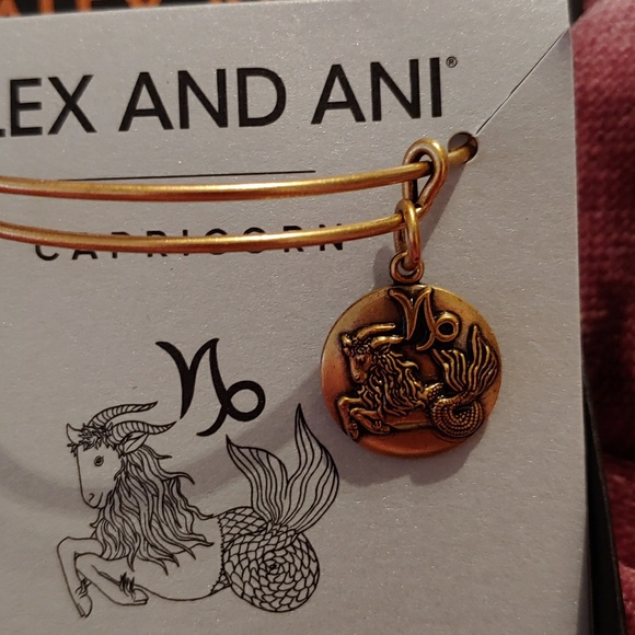 Alex and Ani Capricorn gold bangle - Picture 3 of 3